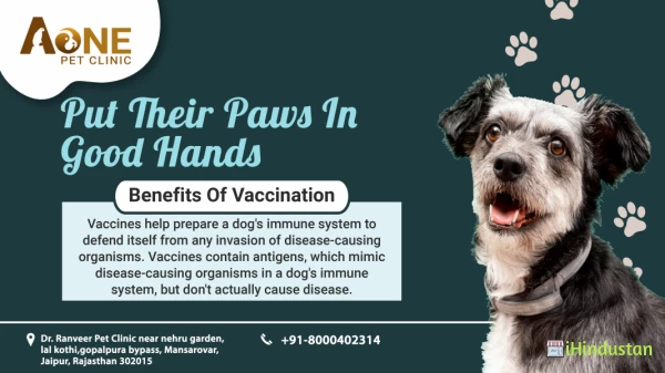 A One Pet Clinic in Jaipur - Rajasthan - India - iHindustan - Business,  Shop, Classified Ads & Events nearby you in India