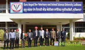 Guru Angad Dev Veterinary and Animal Sciences University Administration  Block in Ludhiana - Punjab - India - iHindustan - Business, Shop,  Classified Ads & Events nearby you in India
