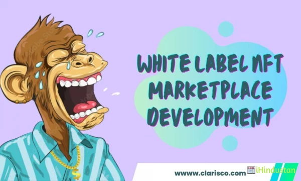 White label nft marketplace development