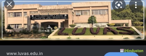 Lala Lajpat Rai University of Veterinary and Animal Sciences - LLRUVAS -  Photos Gallery in Hisar , Haryana, India - iHindustan - Business, Shop,  Classified Ads & Events nearby you in India