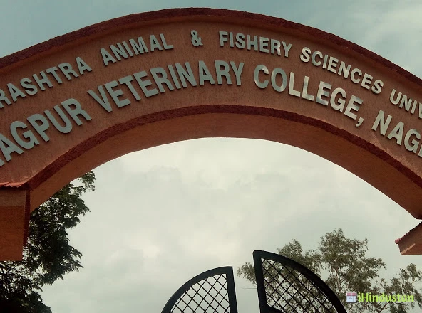 Maharashtra Animal & Fishery Sciences University - Photos Gallery in  Nagpur, Maharashtra, India - iHindustan - Business, Shop, Classified Ads &  Events nearby you in India