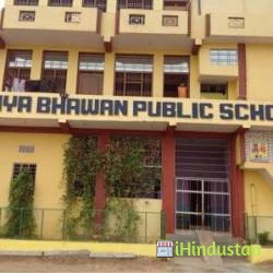 Vidhya Bhawan public senior secondary school 